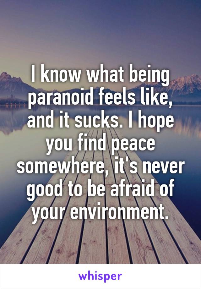 I know what being paranoid feels like, and it sucks. I hope you find peace somewhere, it's never good to be afraid of your environment.