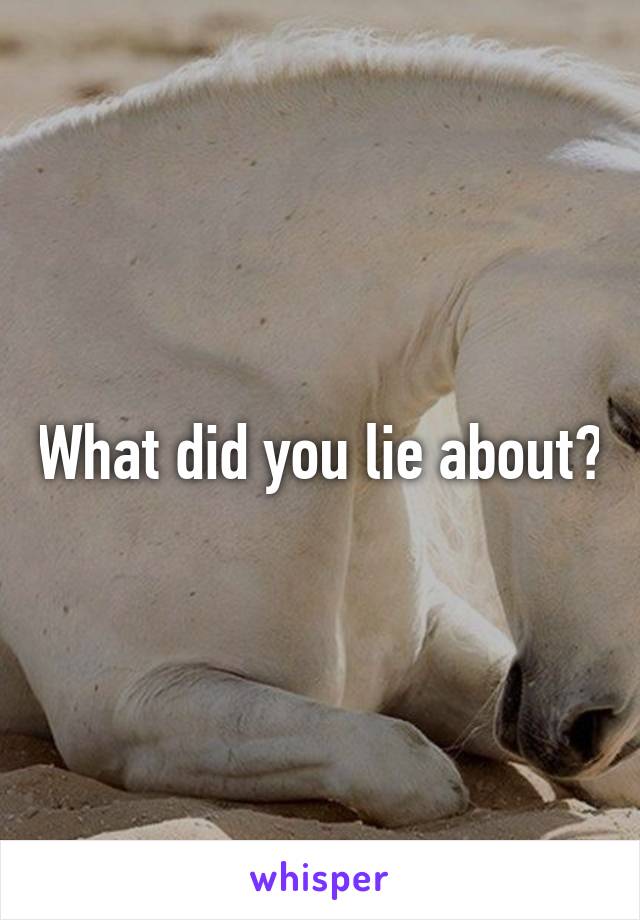 What did you lie about?