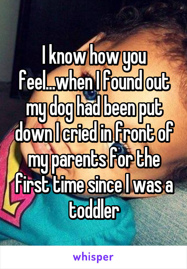 I know how you feel...when I found out my dog had been put down I cried in front of my parents for the first time since I was a toddler