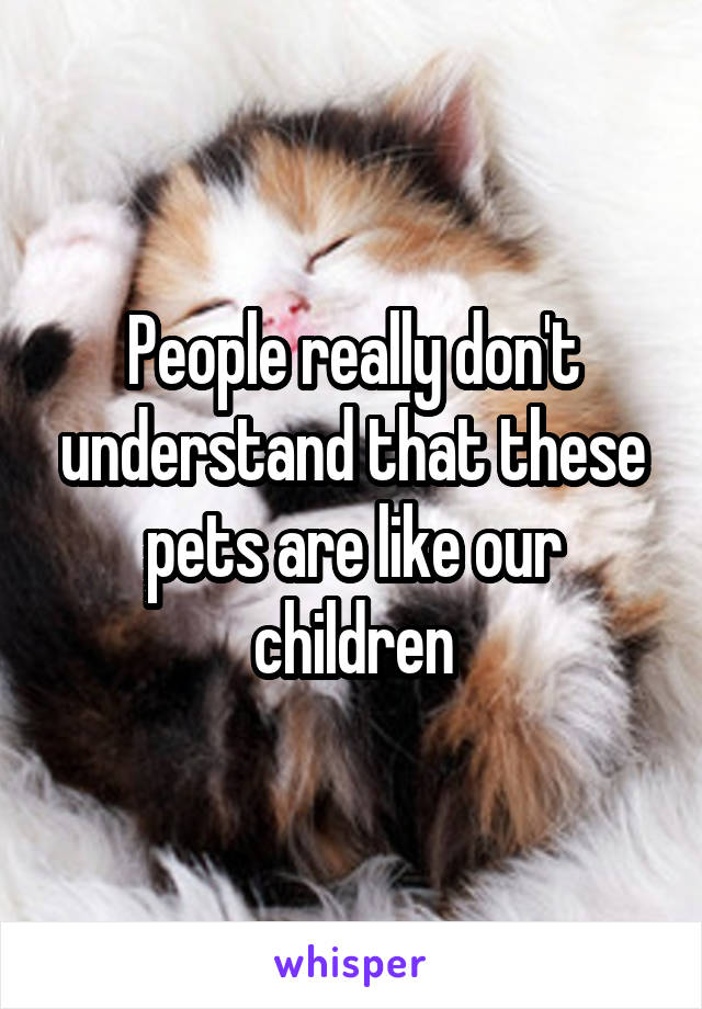 People really don't understand that these pets are like our children