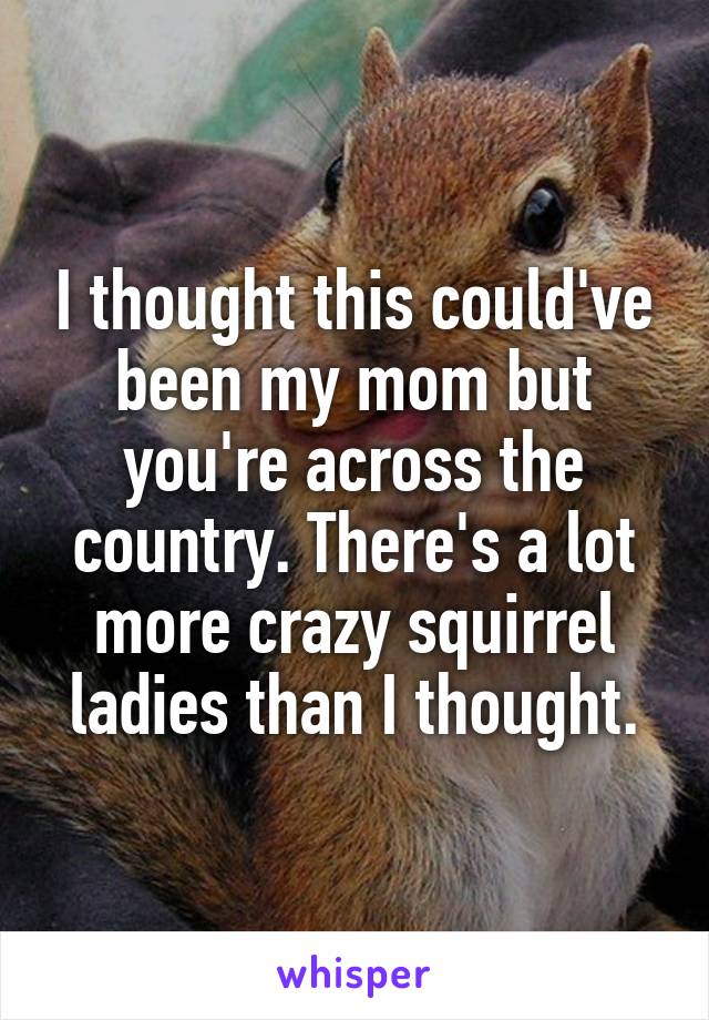 I thought this could've been my mom but you're across the country. There's a lot more crazy squirrel ladies than I thought.