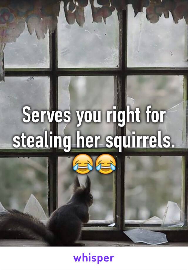 Serves you right for stealing her squirrels.😂😂