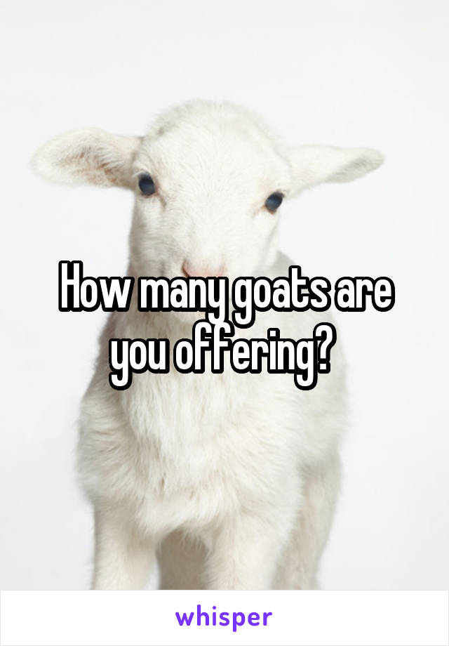 How many goats are you offering? 