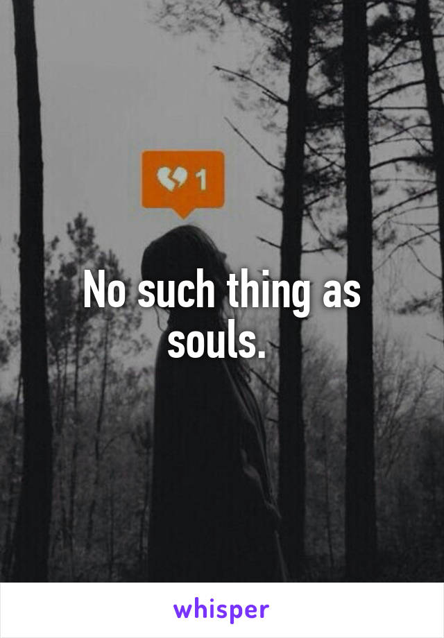 No such thing as souls. 