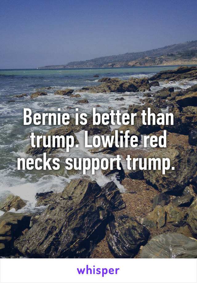 Bernie is better than trump. Lowlife red necks support trump. 