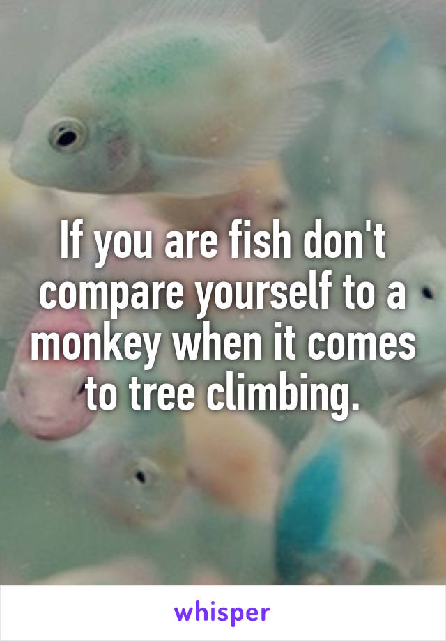 If you are fish don't compare yourself to a monkey when it comes to tree climbing.