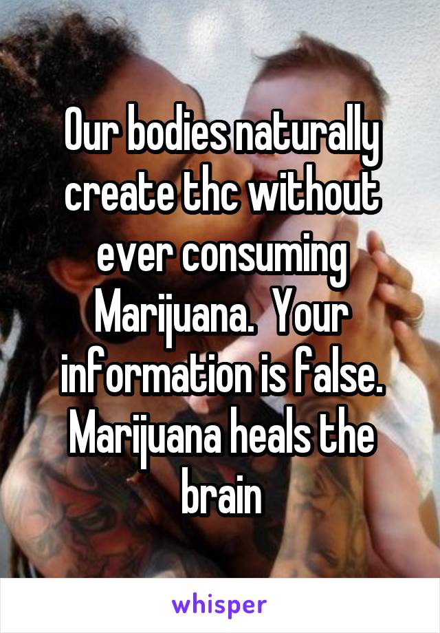 Our bodies naturally create thc without ever consuming Marijuana.  Your information is false. Marijuana heals the brain