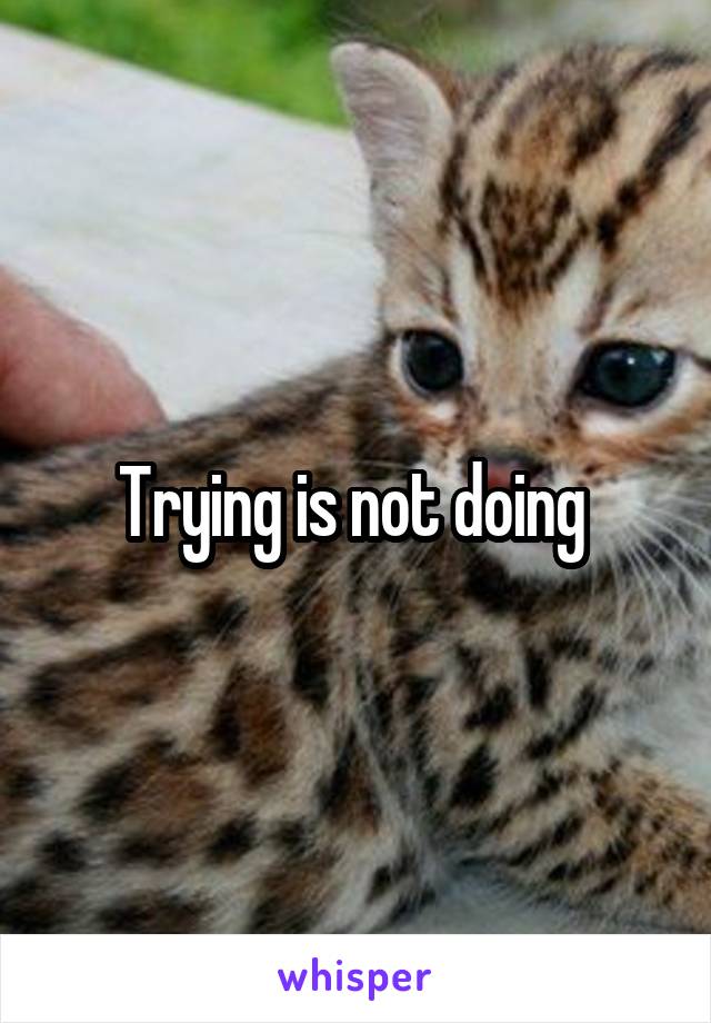 Trying is not doing 