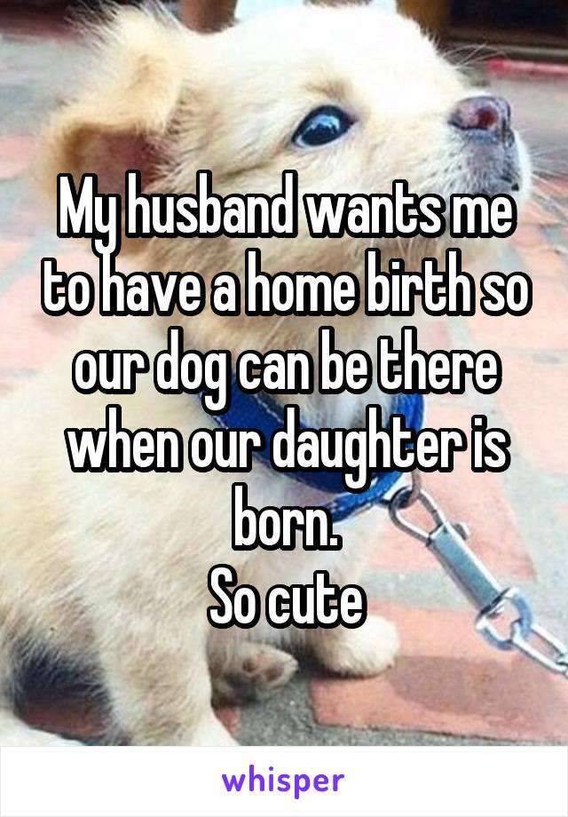 My husband wants me to have a home birth so our dog can be there when our daughter is born.
So cute
