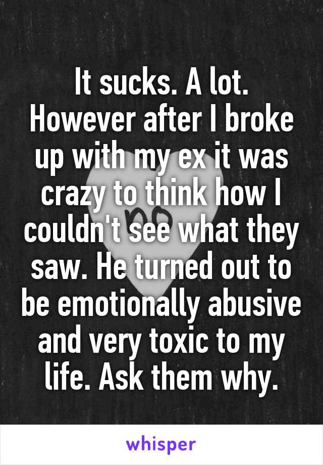 It sucks. A lot. However after I broke up with my ex it was crazy to think how I couldn't see what they saw. He turned out to be emotionally abusive and very toxic to my life. Ask them why.