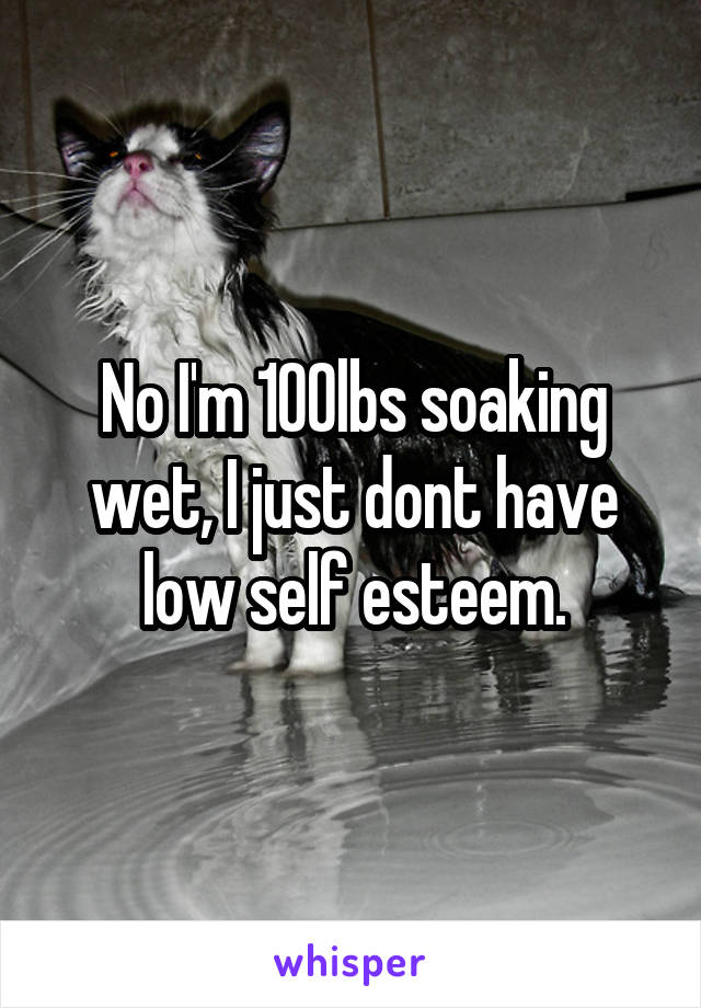 No I'm 100lbs soaking wet, I just dont have low self esteem.