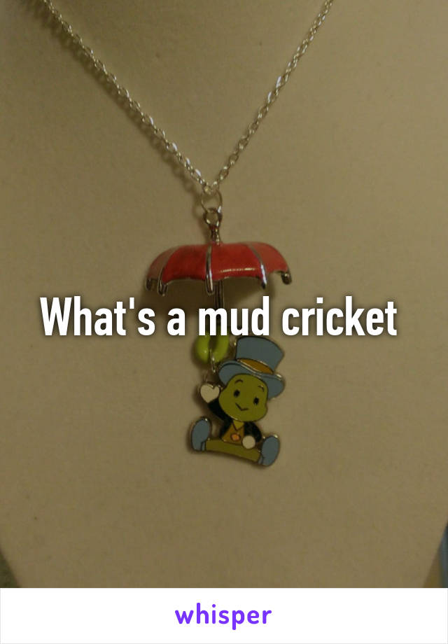 What's a mud cricket 
