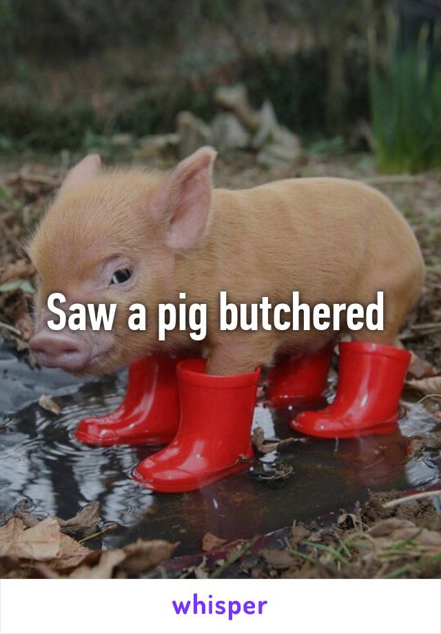 Saw a pig butchered 