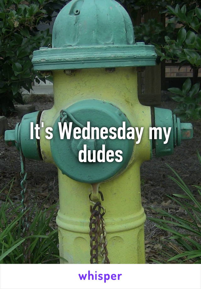 It's Wednesday my dudes