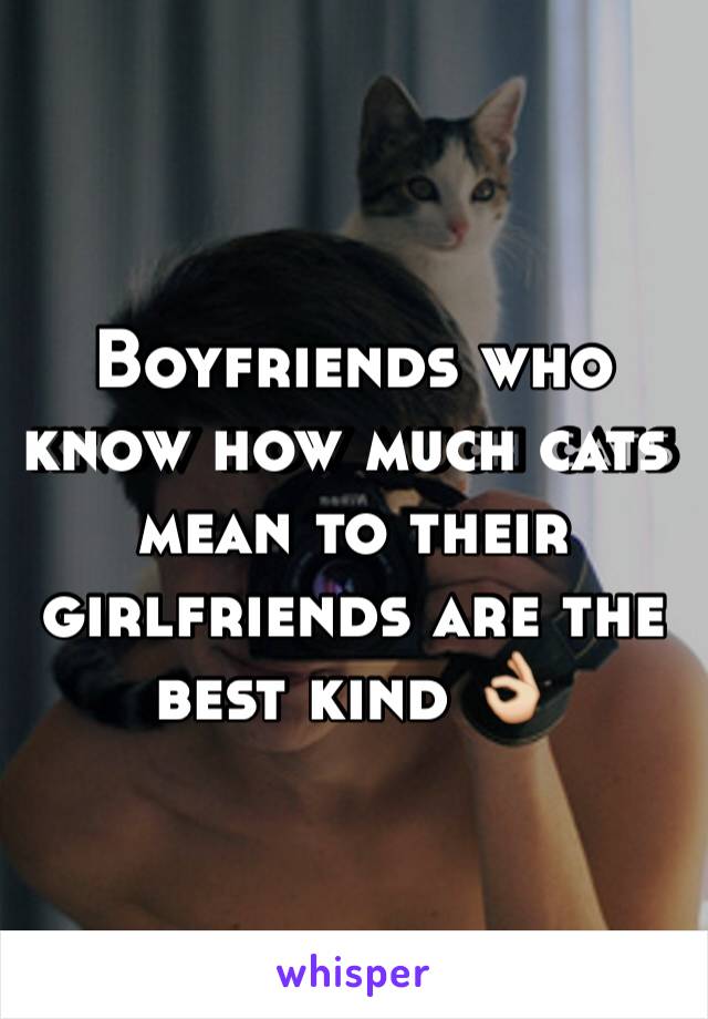 Boyfriends who know how much cats mean to their girlfriends are the best kind 👌