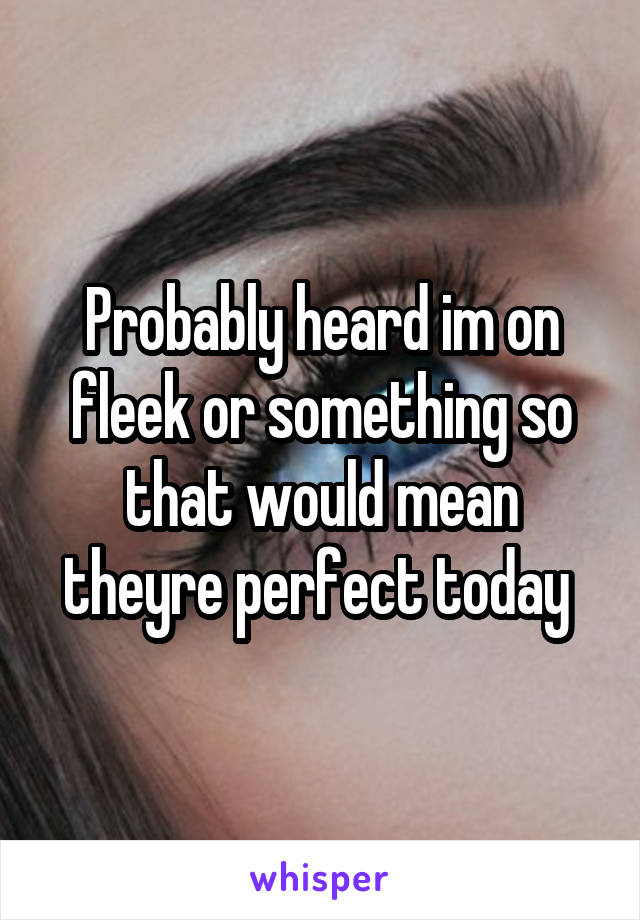 Probably heard im on fleek or something so that would mean theyre perfect today 