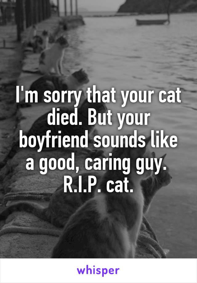 I'm sorry that your cat died. But your boyfriend sounds like a good, caring guy. 
R.I.P. cat.