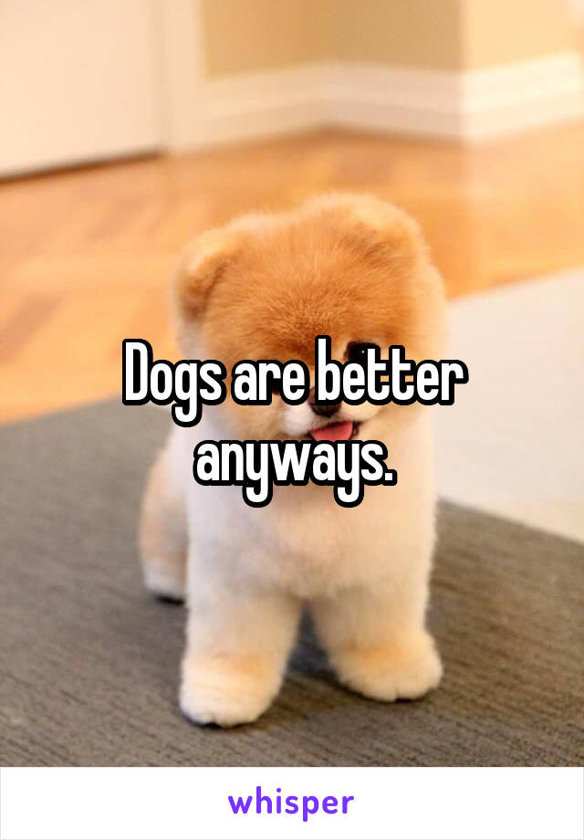 Dogs are better anyways.