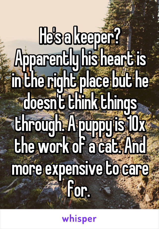 He's a keeper? Apparently his heart is in the right place but he doesn't think things through. A puppy is 10x the work of a cat. And more expensive to care for. 