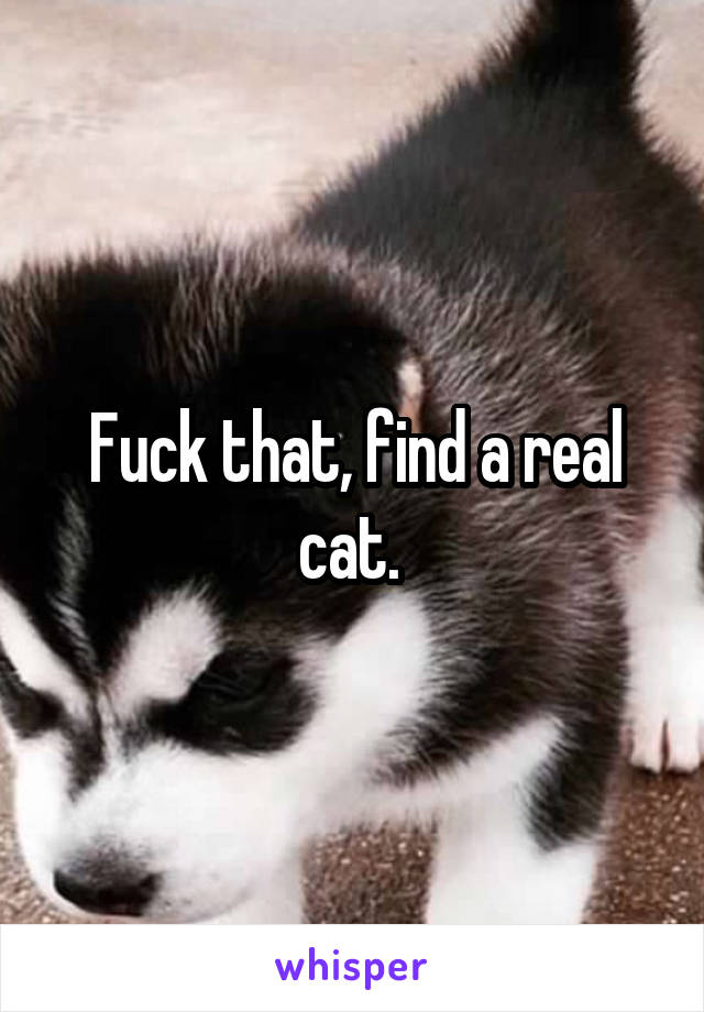 Fuck that, find a real cat. 