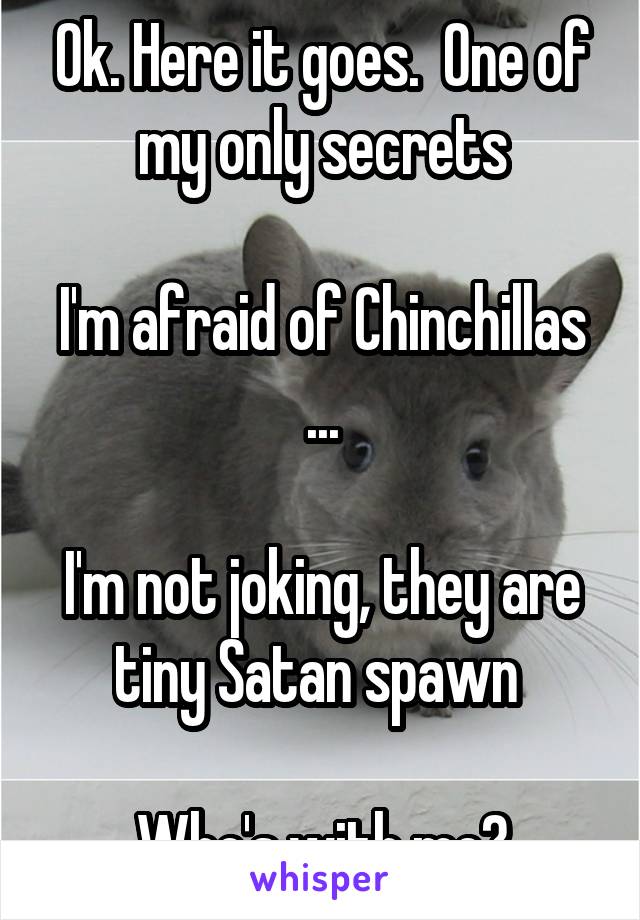 Ok. Here it goes.  One of my only secrets

I'm afraid of Chinchillas ...

I'm not joking, they are tiny Satan spawn 

Who's with me?