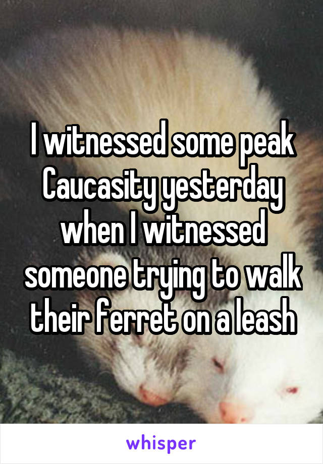 I witnessed some peak Caucasity yesterday when I witnessed someone trying to walk their ferret on a leash