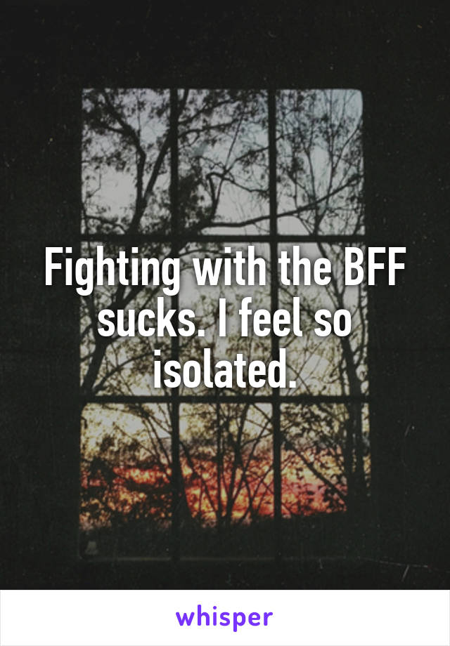 Fighting with the BFF sucks. I feel so isolated.
