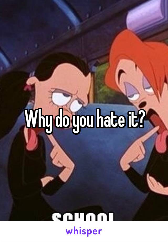 Why do you hate it?