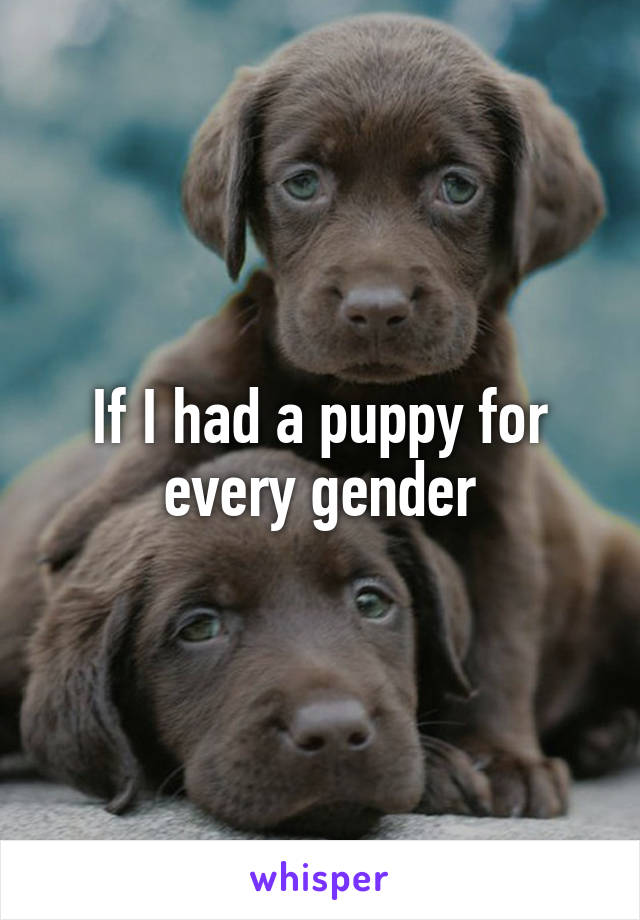 If I had a puppy for every gender