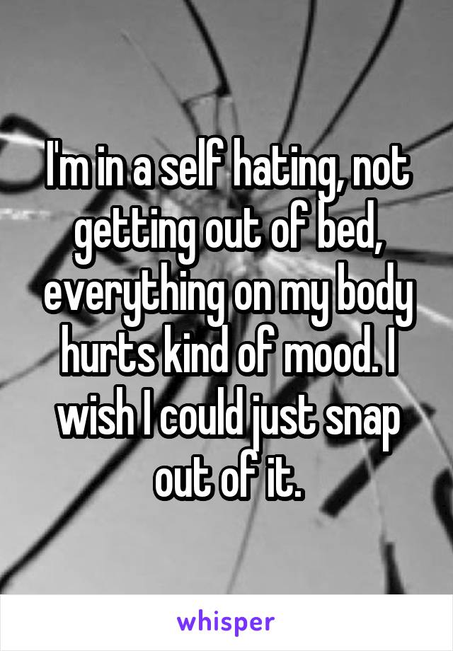 I'm in a self hating, not getting out of bed, everything on my body hurts kind of mood. I wish I could just snap out of it.