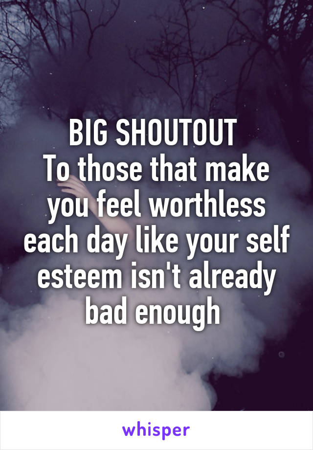 BIG SHOUTOUT 
To those that make you feel worthless each day like your self esteem isn't already bad enough 