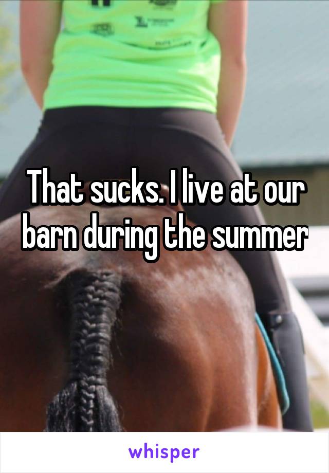 That sucks. I live at our barn during the summer 