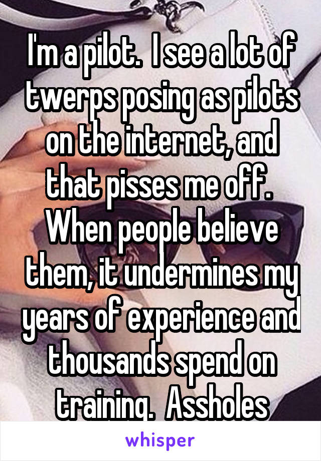 I'm a pilot.  I see a lot of twerps posing as pilots on the internet, and that pisses me off.  When people believe them, it undermines my years of experience and thousands spend on training.  Assholes