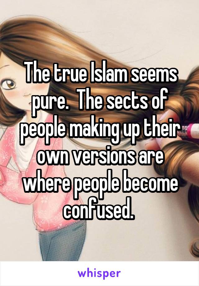The true Islam seems pure.  The sects of people making up their own versions are where people become confused. 