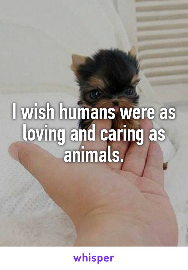 I wish humans were as loving and caring as animals.