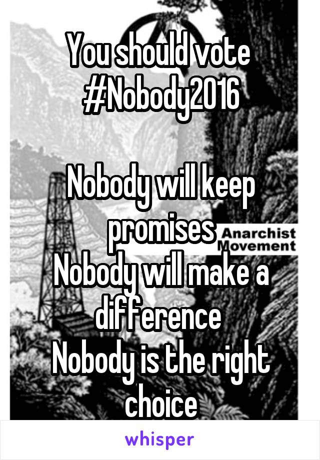 You should vote 
#Nobody2016

Nobody will keep promises
Nobody will make a difference 
Nobody is the right choice