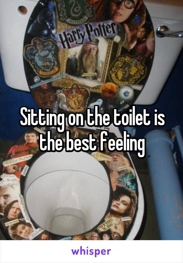 Sitting on the toilet is the best feeling