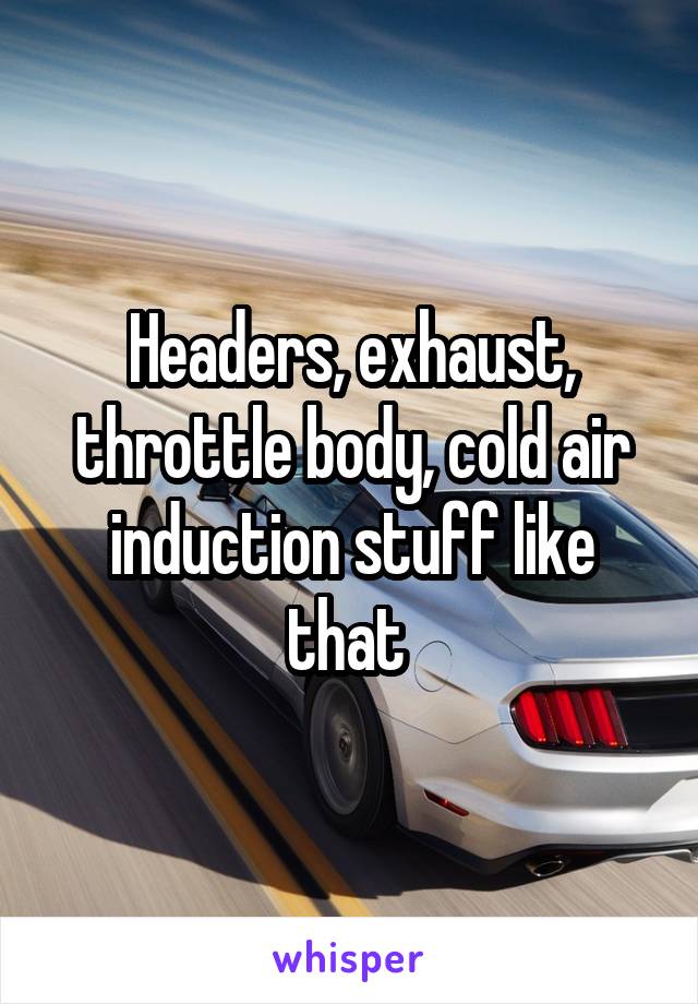 Headers, exhaust, throttle body, cold air induction stuff like that 