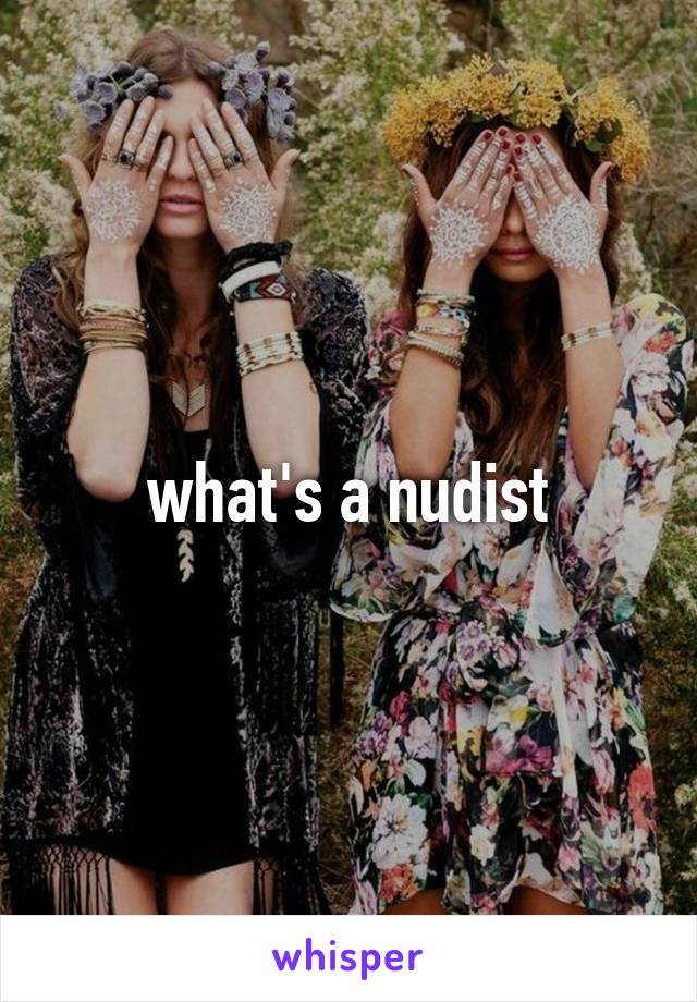 what's a nudist