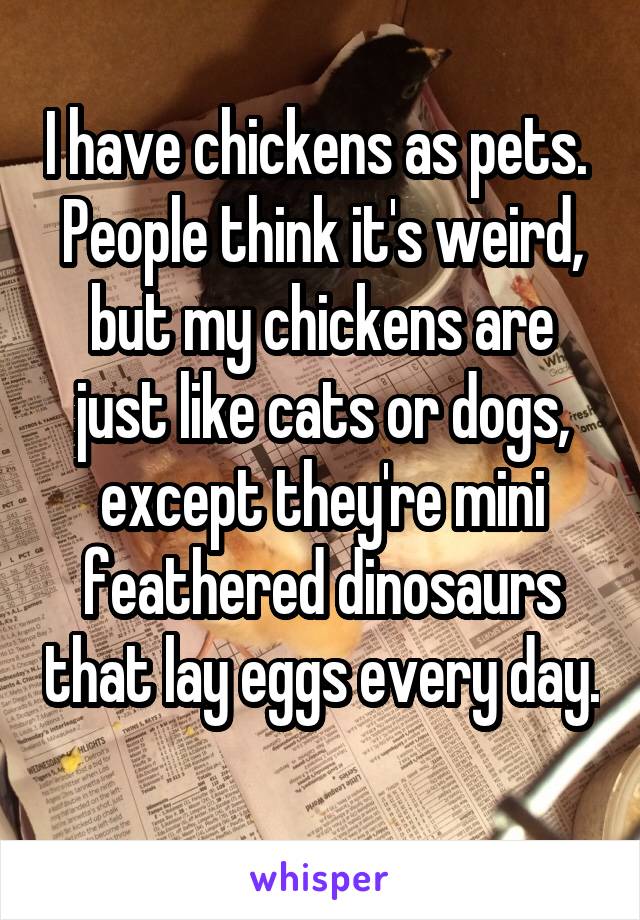 I have chickens as pets. 
People think it's weird, but my chickens are just like cats or dogs, except they're mini feathered dinosaurs that lay eggs every day. 