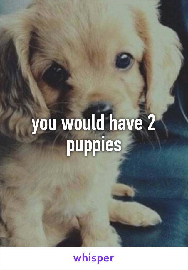 you would have 2 puppies