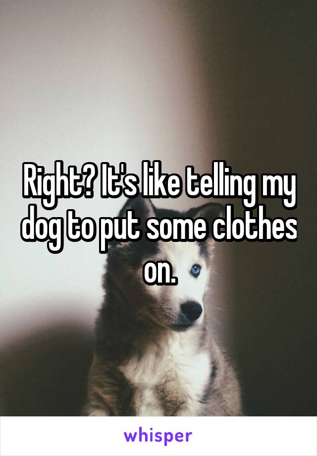 Right? It's like telling my dog to put some clothes on.