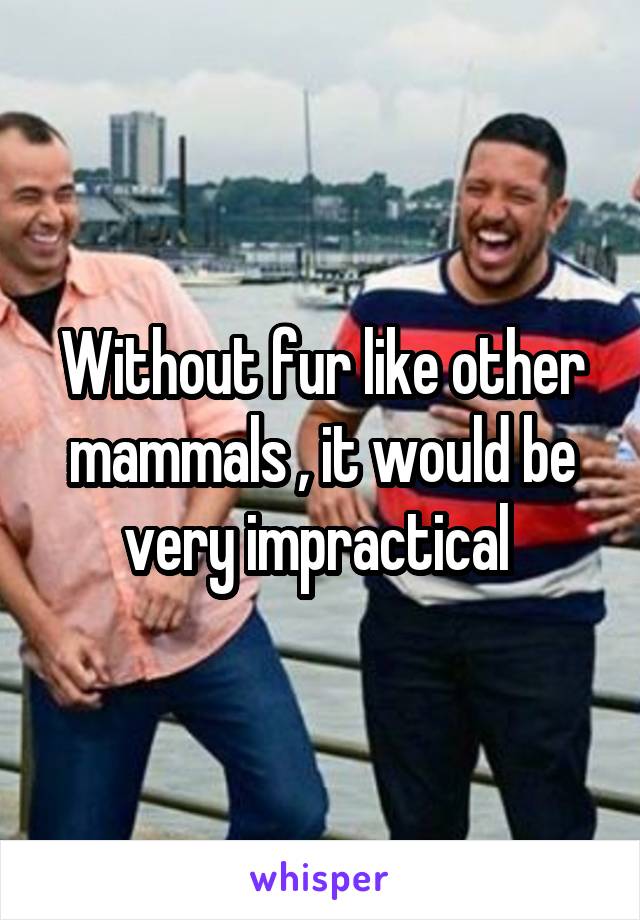 Without fur like other mammals , it would be very impractical 