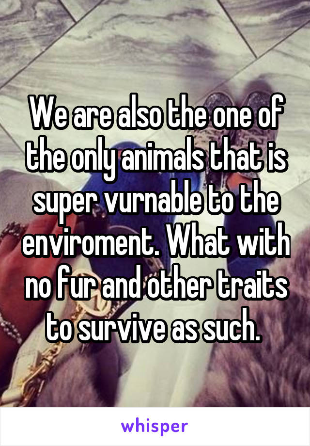 We are also the one of the only animals that is super vurnable to the enviroment. What with no fur and other traits to survive as such. 