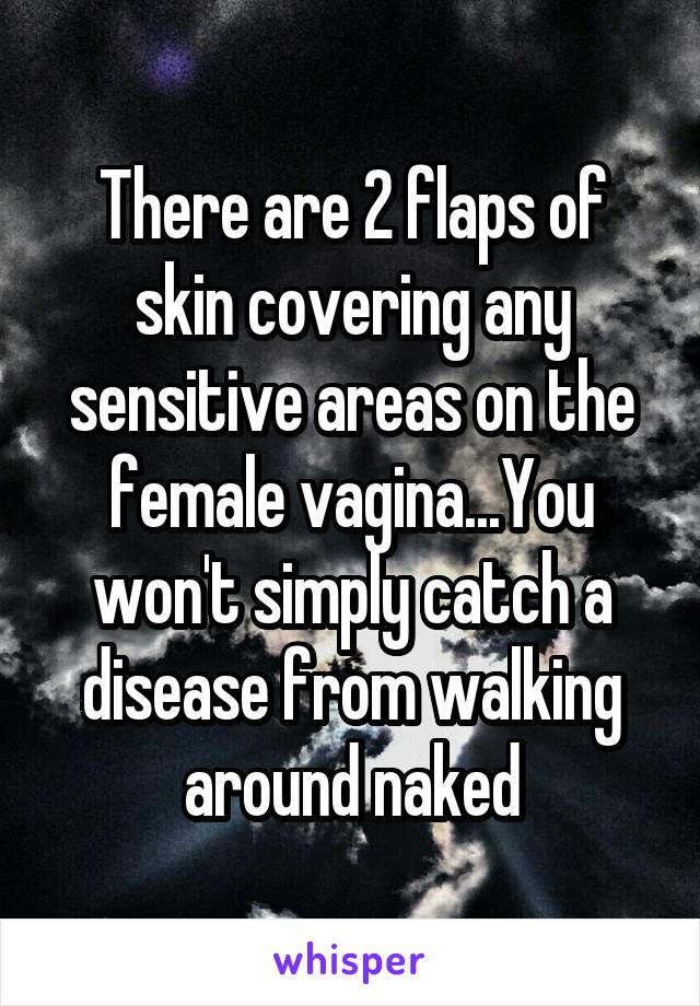 There are 2 flaps of skin covering any sensitive areas on the female vagina...You won't simply catch a disease from walking around naked