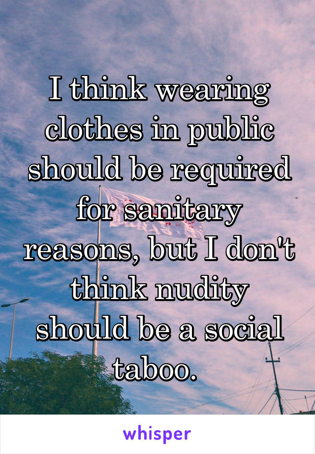 I think wearing clothes in public should be required for sanitary reasons, but I don't think nudity should be a social taboo. 