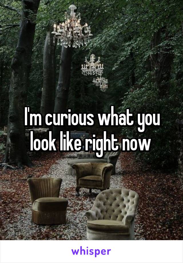 I'm curious what you look like right now 