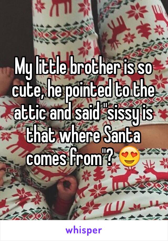 My little brother is so cute, he pointed to the attic and said "sissy is that where Santa comes from"? 😍