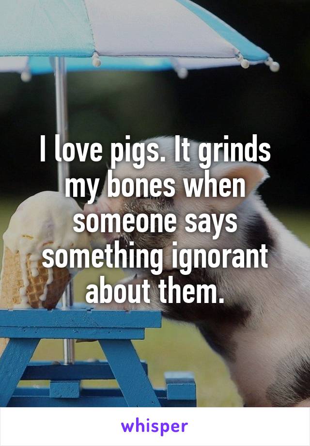 I love pigs. It grinds my bones when someone says something ignorant about them.
