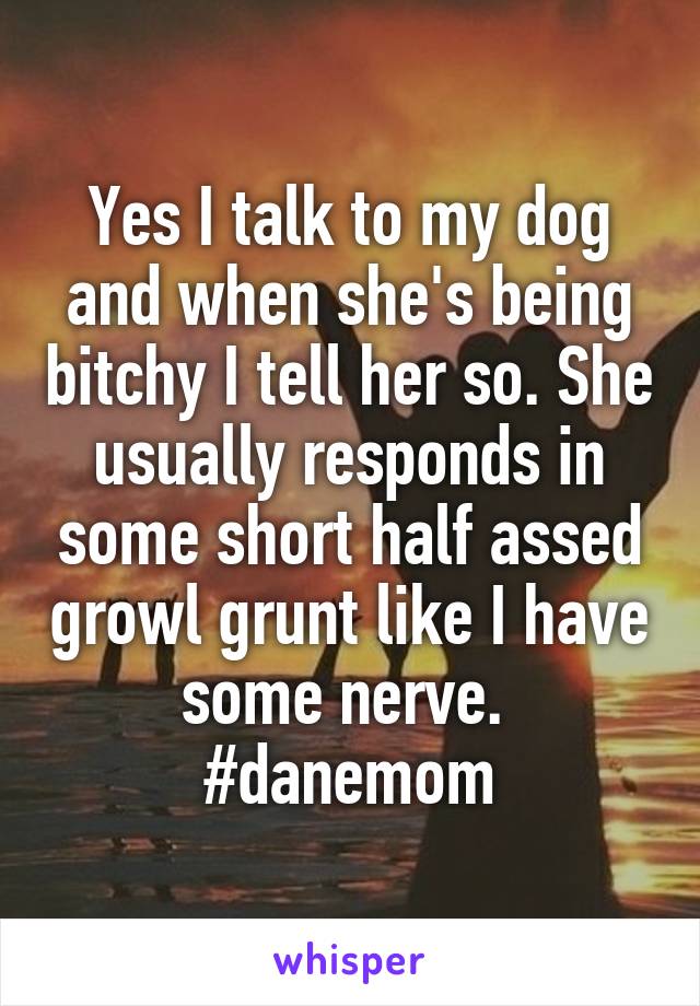 Yes I talk to my dog and when she's being bitchy I tell her so. She usually responds in some short half assed growl grunt like I have some nerve. 
#danemom